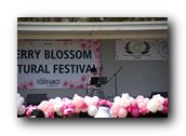 TorranceCherryBlossom153290326.jpg