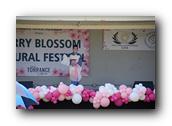 TorranceCherryBlossom179290326.jpg