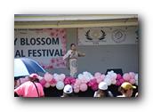 TorranceCherryBlossom184290326.jpg