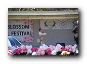 TorranceCherryBlossom189290326.jpg