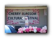 TorranceCherryBlossom196290326.jpg