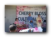 TorranceCherryBlossom220290326.jpg