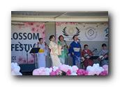 TorranceCherryBlossom223290326.jpg