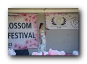 TorranceCherryBlossom239290326.jpg