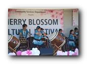 TorranceCherryBlossom245290326.jpg