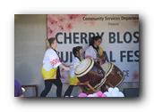 TorranceCherryBlossom286290326.jpg