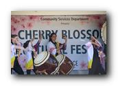 TorranceCherryBlossom292290326.jpg