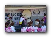 TorranceCherryBlossom297290326.jpg