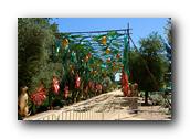 DSC01317.jpg