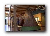 DSC01338.jpg