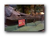 DSC01339.jpg