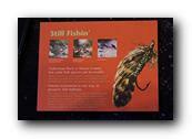 DSC01350.jpg
