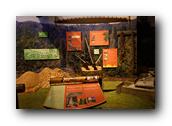 DSC01354.jpg