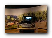 DSC01356.jpg