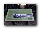DSC01377.jpg