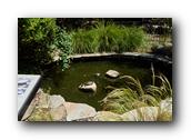 DSC01399.jpg