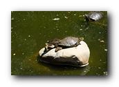 DSC01400.jpg