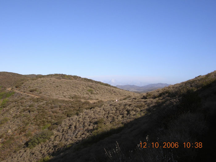 La Jolla Canyon  2436