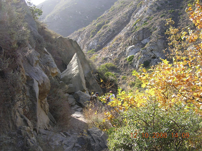 La Jolla Canyon  2460