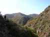 La Jolla Canyon  2457